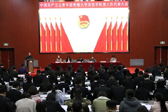 a13f7ad5e6964113902289b35c045a64.jpg a13f7ad5e6964113902289b35c045a64.jpg