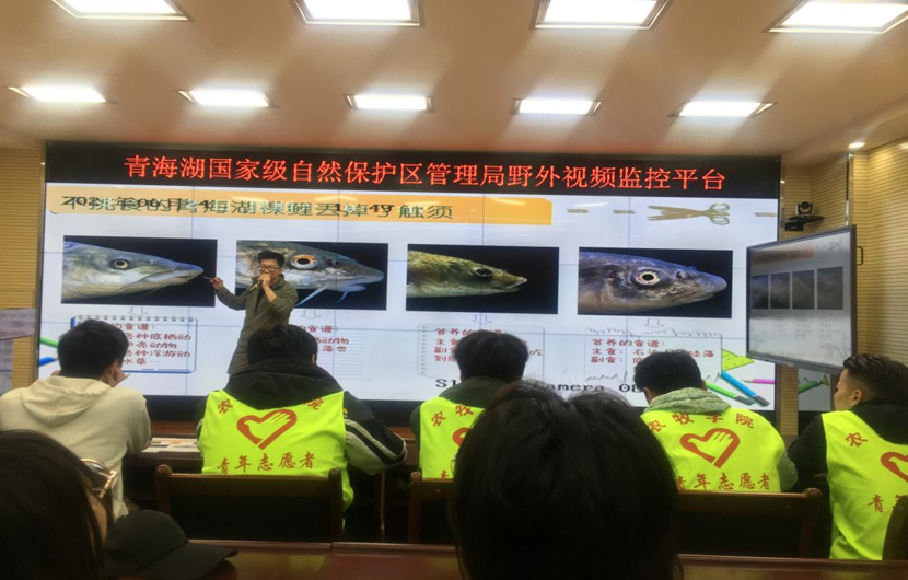 53f4142cfa414295a0166c91e604060b.png 53f4142cfa414295a0166c91e604060b.png