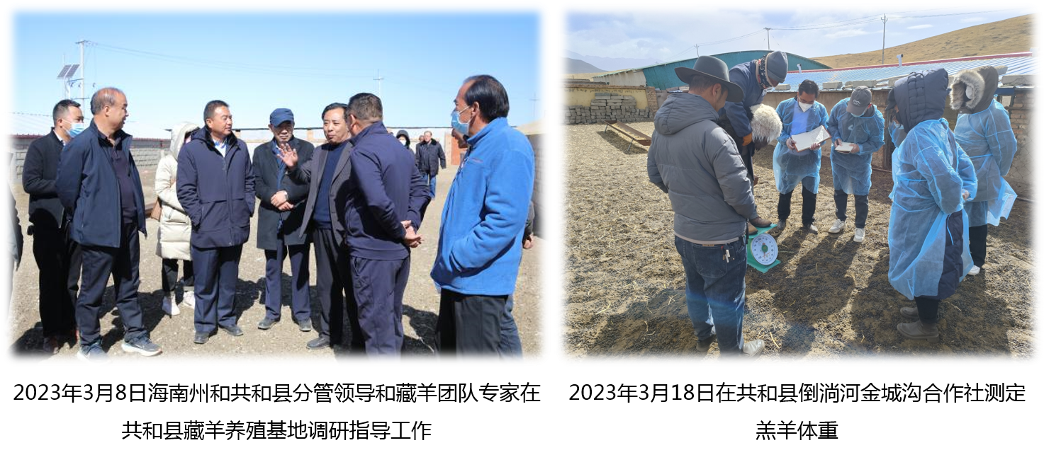 7f76bebecdab48739b4533cdf72950b6.png 7f76bebecdab48739b4533cdf72950b6.png