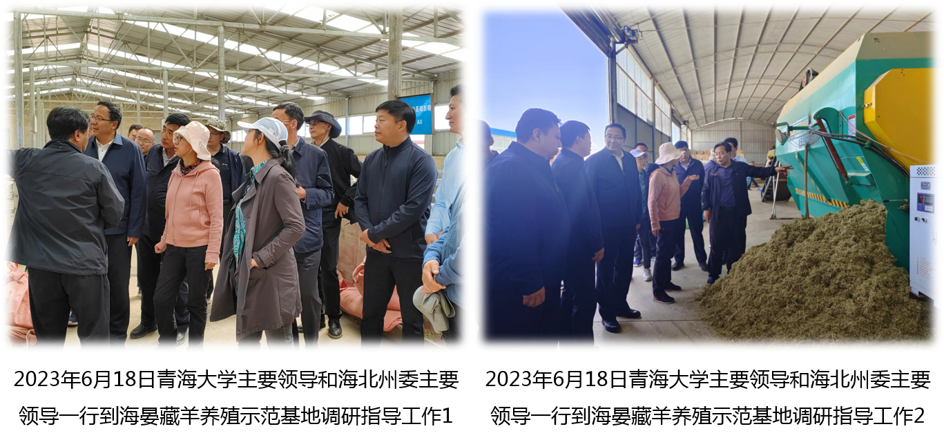 942267603b444c9882ae3237fbbdb019.png 942267603b444c9882ae3237fbbdb019.png