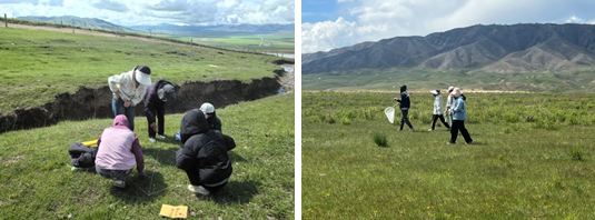 664761d3bb70403fa7bb7f18b865db81.png 664761d3bb70403fa7bb7f18b865db81.png