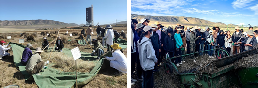 aa25af1b61a240cfbb9055d83d464e79.png aa25af1b61a240cfbb9055d83d464e79.png