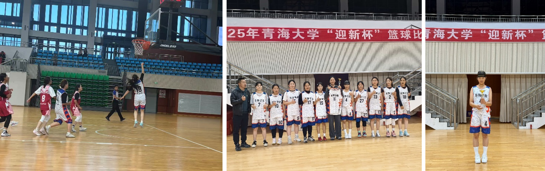 12f43c64092d441b9261677947e6f1d9.png 12f43c64092d441b9261677947e6f1d9.png